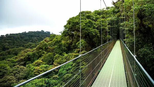 Respect for Nature: Building and Living in Costa Rica